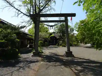 好間熊野神社の鳥居