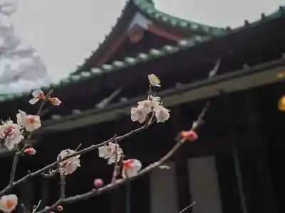 赤坂氷川神社(東京都)