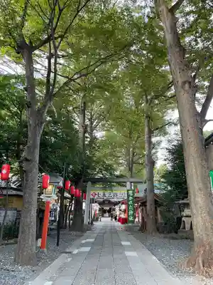 田無神社の鳥居