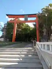 稲毛浅間神社(千葉県)