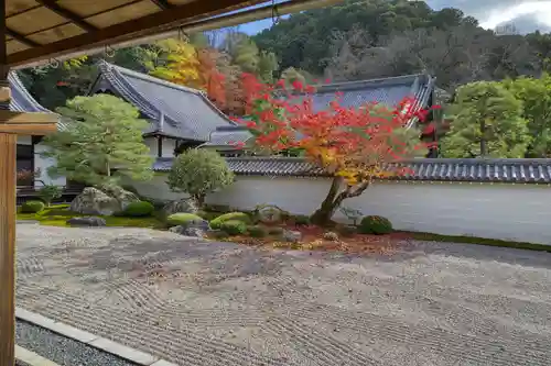 南禅寺の庭園