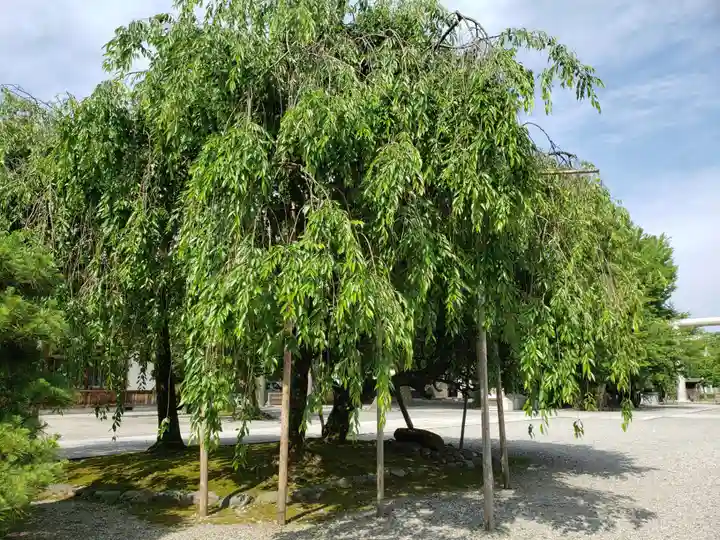 富山縣護國神社の周辺