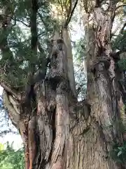 崇禅寺の建物その他