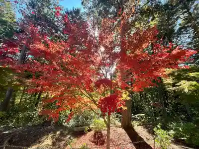 常樂寺(滋賀県)
