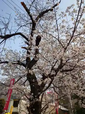 大光院(愛知県)