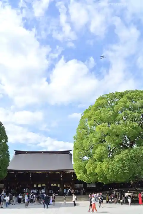 明治神宮(東京都)