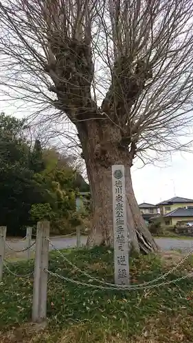 大念寺の庭園