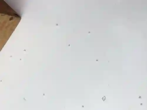 東京大神宮(東京都)