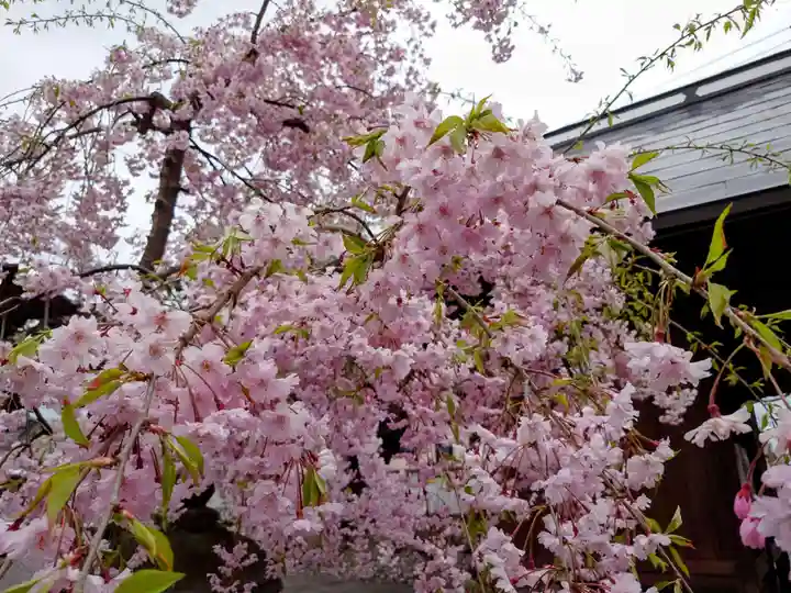 一箕山八幡神社(福島県)