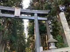 北口本宮冨士浅間神社の鳥居