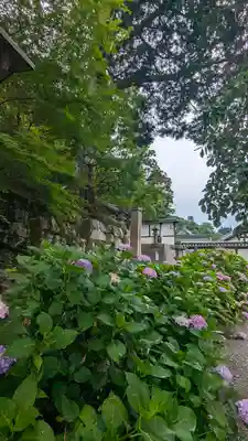 知恩院(京都府)