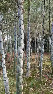 浄住寺(京都府)