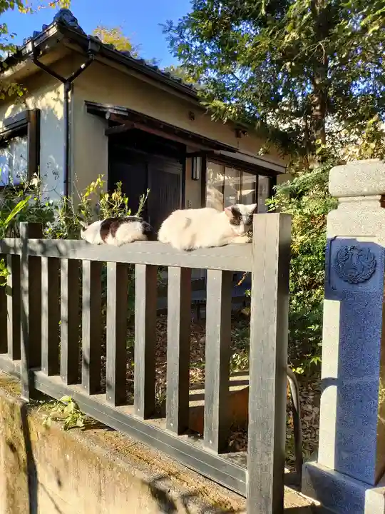 威光稲荷堂(東京都)