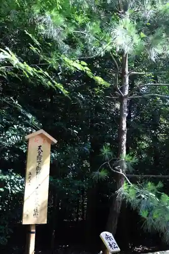 寒川神社(神奈川県)