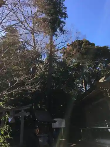 阿夫利神社の末社