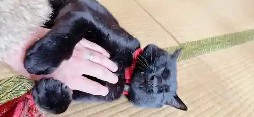 高司神社〜むすびの神の鎮まる社〜(福島県)