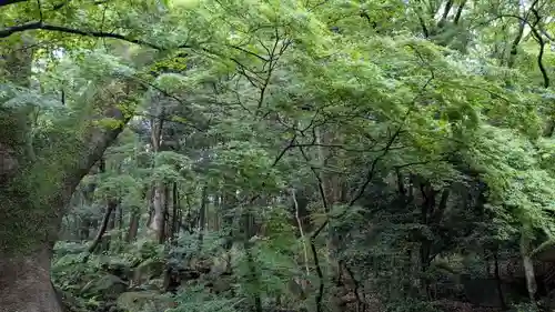 太宰府天満宮の自然