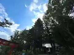 山家神社の自然