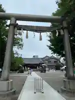 浅草神社の鳥居