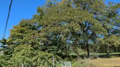 上豊以別神社の自然