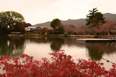 大覚寺(京都府)