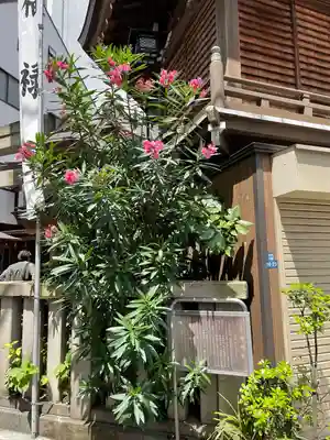 小網神社(東京都)