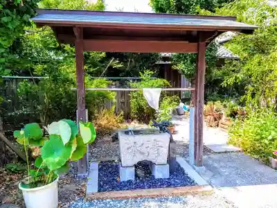 洞雲寺の手水舎