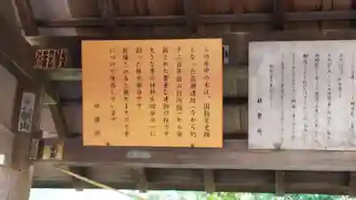 越中一宮 髙瀬神社(富山県)