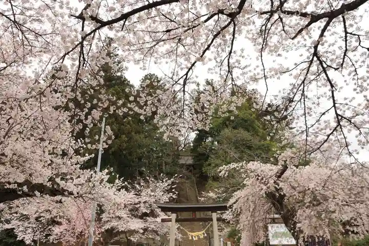 田村神社の景色