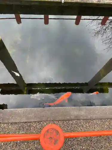 息栖神社(茨城県)