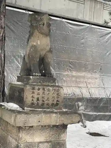 白石神社の狛犬