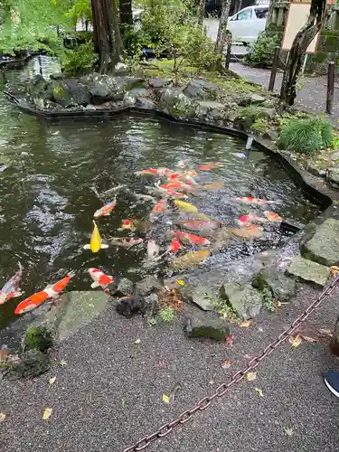 伊豆山神社(静岡県)