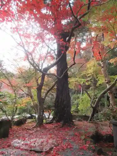 覚園寺の庭園