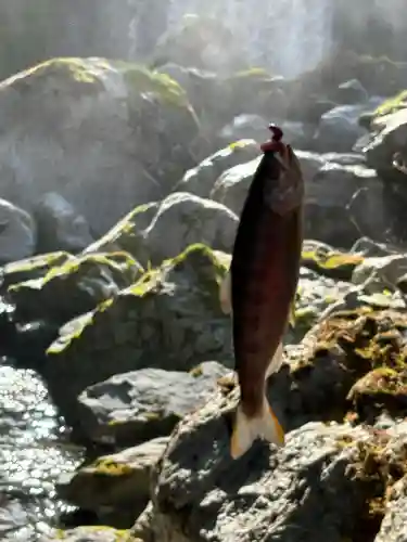 槇渕神社(徳島県)