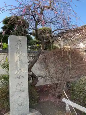 乗蓮寺のその他建物