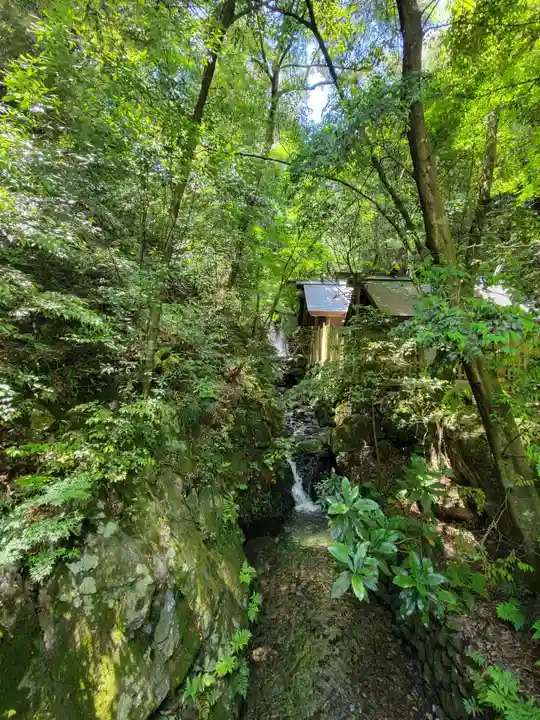 多度大社の自然