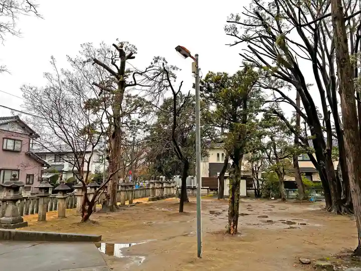 大神神社(花池)の自然