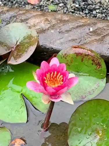 太融寺の庭園