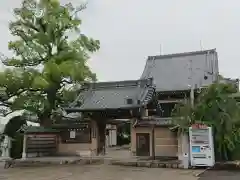 観音寺の山門