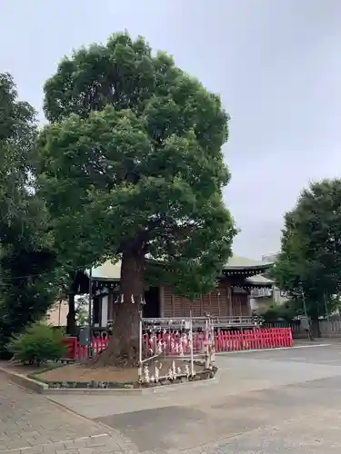 東京羽田 穴守稲荷神社のその他建物