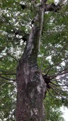 御崎宮(岡山県)