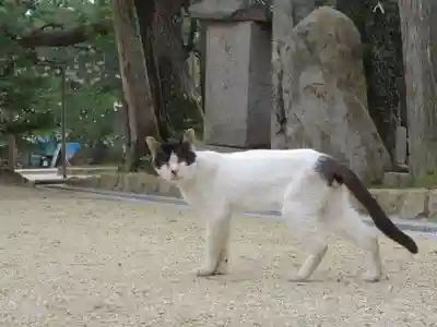 智恩寺(京都府)