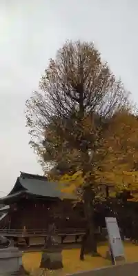 布多天神社(東京都)