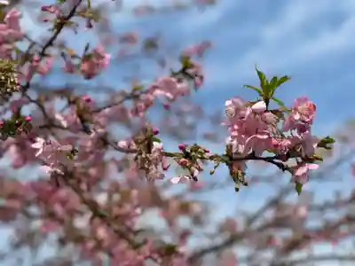 大六天神社(千葉県)