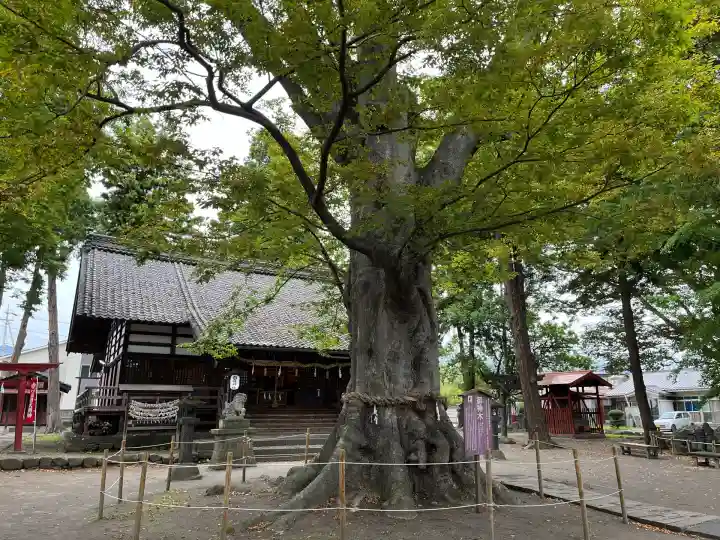 白鳥神社(長野県)