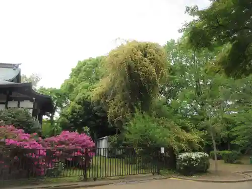 清水観音堂(東京都)