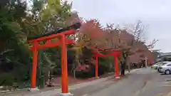 竹中稲荷神社（吉田神社末社）の鳥居