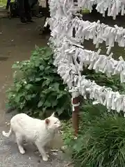 雀神社の動物