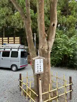 大豊神社(京都府)