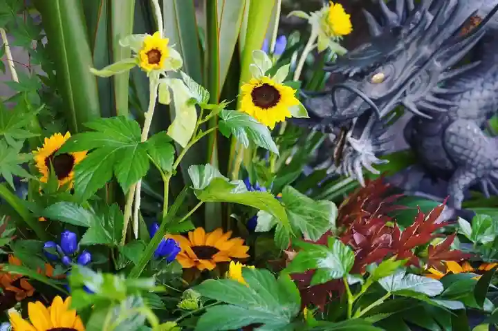 東海市熊野神社の手水舎